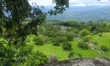 Finca en venta támesis, antioquia