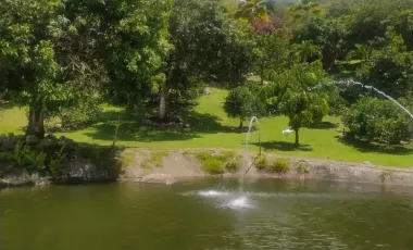 Finca en venta támesis, antioquia