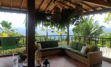 Finca en venta támesis, antioquia