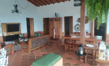 Finca en venta támesis, antioquia