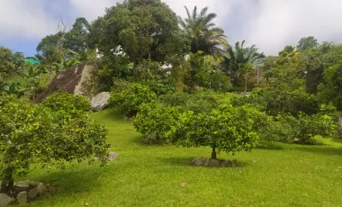 Finca en venta támesis, antioquia