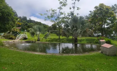 Finca en venta támesis, antioquia