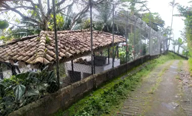 Finca en venta támesis, antioquia