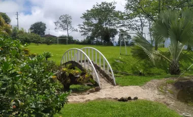 Finca en venta támesis, antioquia