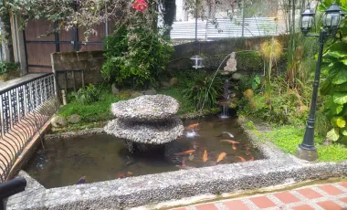 Finca en venta támesis, antioquia