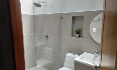 Finca en venta támesis, antioquia