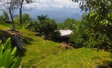 Finca en venta támesis, antioquia