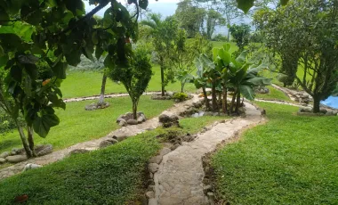 Finca en venta támesis, antioquia
