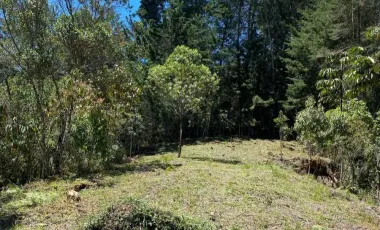 Finca en venta el retiro, antioquia.