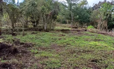 Finca en venta el retiro, antioquia.