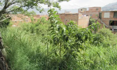 Lote en venta buenos aires, medellín