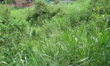 Lote en venta buenos aires, medellín