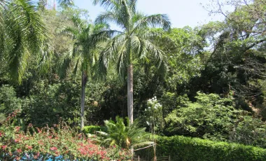 Apartamento en venta san jerónimo, antioquia