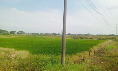 Terreno en el Buijo Samborondon