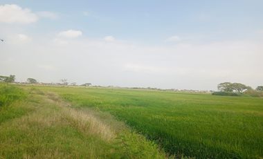 Terreno en el Buijo Samborondon