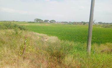 Terreno en el Buijo Samborondon