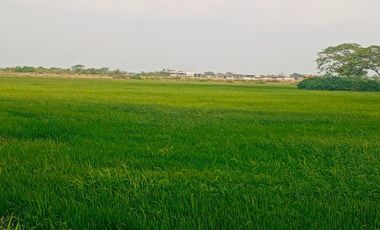 Terreno en el Buijo Samborondon