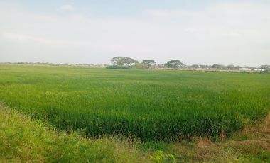 Terreno en el Buijo Samborondon