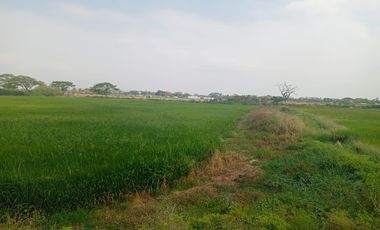 Terreno en el Buijo Samborondon