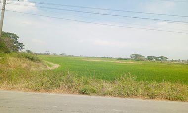 Terreno en el Buijo Samborondon