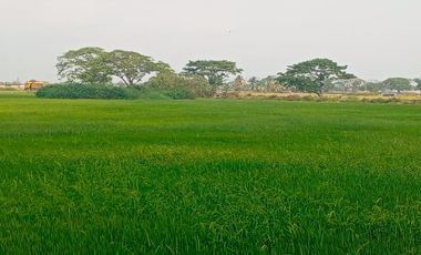 Terreno en el Buijo Samborondon