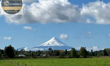 Vive la experiencia de tu propio paraíso en Praderas de Frutillar