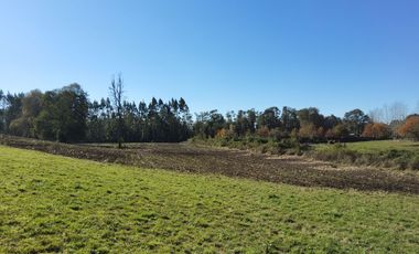Parcela con bosque en Refugio Los Lagos