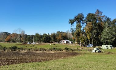 Parcela con bosque en Refugio Los Lagos