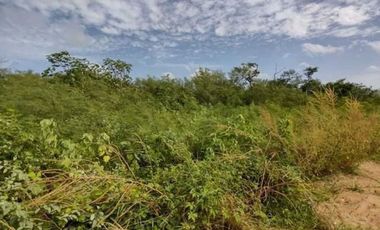 Terreno en Venta en Seyé sobre carretera (7 ha)