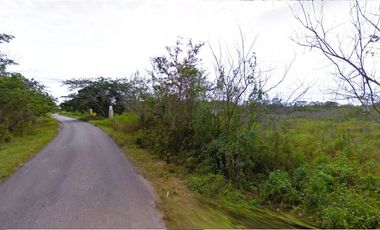 Terreno en Venta en Seyé sobre carretera (7 ha)