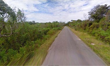 Terreno en Venta en Seyé sobre carretera (7 ha)