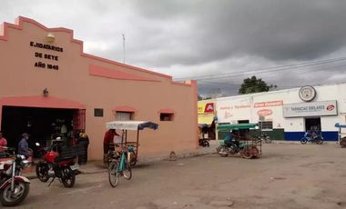 Terreno en Venta en Seyé sobre carretera (7 ha)