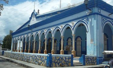 Terreno en Venta en Seyé sobre carretera (7 ha)