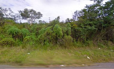 Terreno en Venta en Seyé sobre carretera (7 ha)