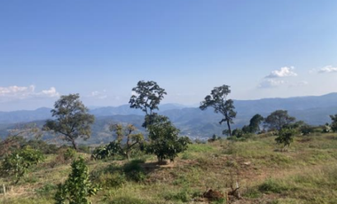 Terreno Agrícola en venta - Villa Madero, Michoacán