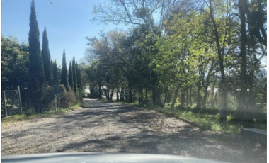 Terreno Agrícola en venta - Villa Madero, Michoacán
