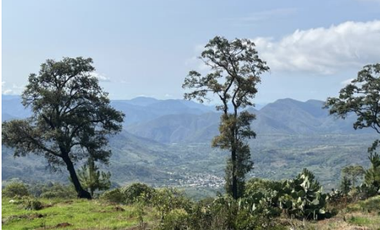 Terreno Agrícola en venta - Villa Madero, Michoacán