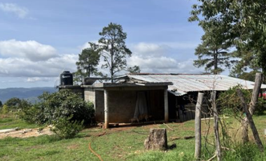 Terreno Agrícola en venta - Villa Madero, Michoacán