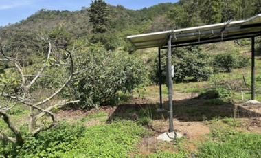 Terreno Agrícola en venta - Villa Madero, Michoacán