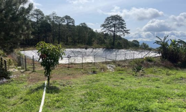 Terreno Agrícola en venta - Villa Madero, Michoacán