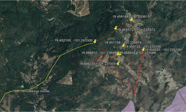Terreno Agrícola en venta - Villa Madero, Michoacán