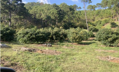Terreno Agrícola en venta - Villa Madero, Michoacán