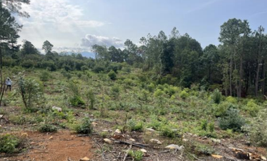 Terreno Agrícola en venta - Villa Madero, Michoacán