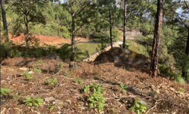 Terreno Agrícola en venta - Villa Madero, Michoacán