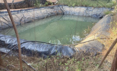 Terreno Agrícola en venta - Villa Madero, Michoacán