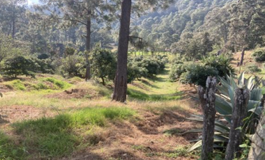 Terreno Agrícola en venta - Villa Madero, Michoacán