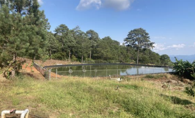 Terreno Agrícola en venta - Villa Madero, Michoacán