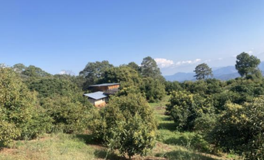 Terreno Agrícola en venta - Villa Madero, Michoacán