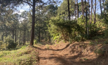 Terreno Agrícola en venta - Villa Madero, Michoacán