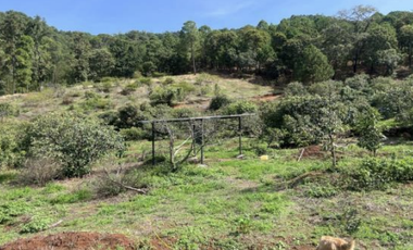 Terreno Agrícola en venta - Villa Madero, Michoacán